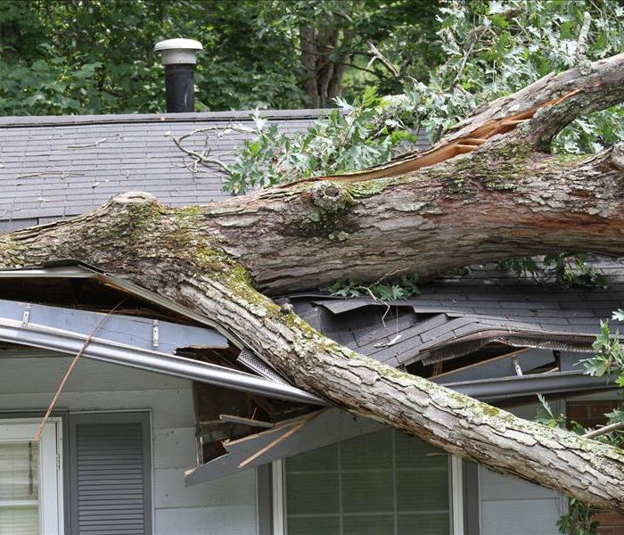 Large tree laying on a home.